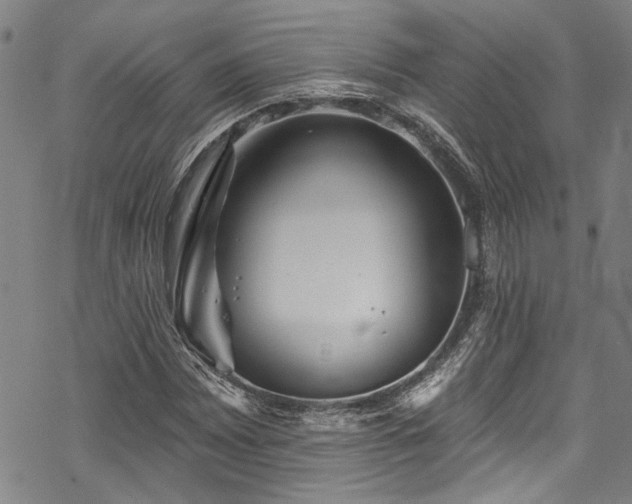 X0000068841065200605051256