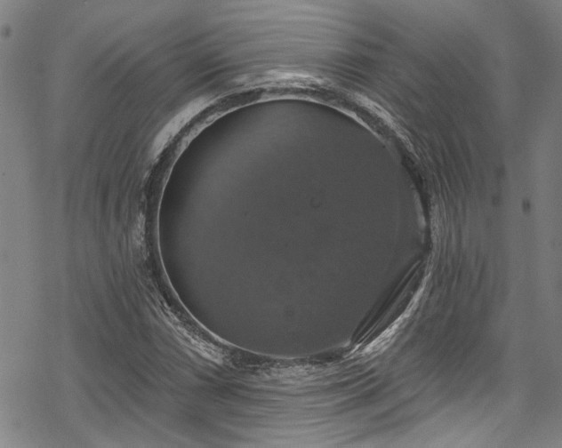 X0000068841066200605051256