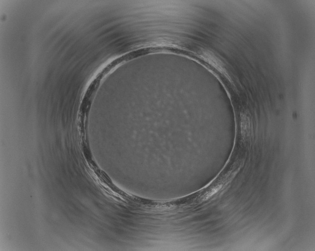 X0000068841068200605051256