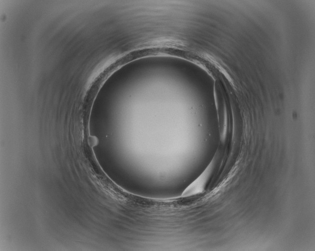 X0000068841069200605051256