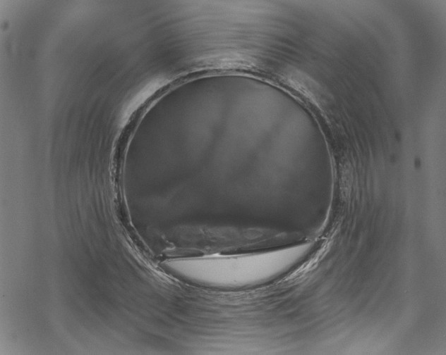 X0000068841071200605051256