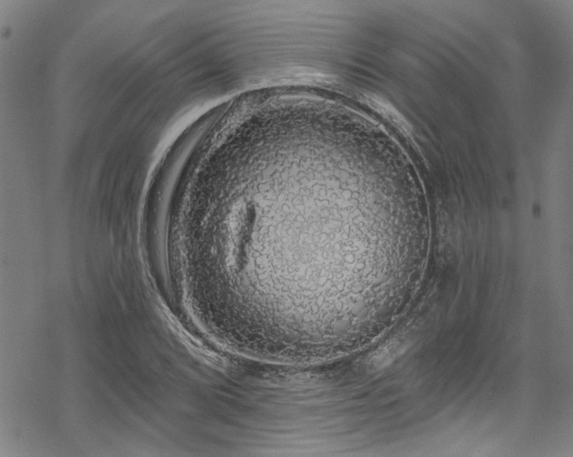 X0000068841072200605051256