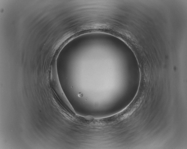 X0000068841073200605051256