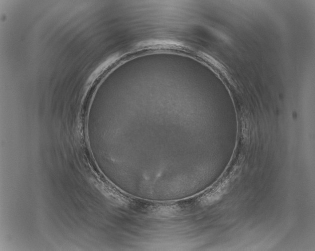 X0000068841074200605051256