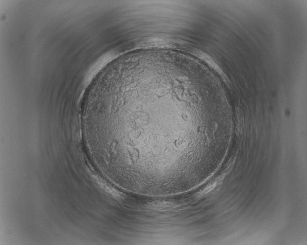 X0000068841075200605051256