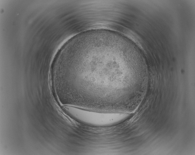 X0000068841076200605051256