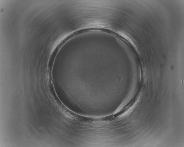 X0000068841077200605051256