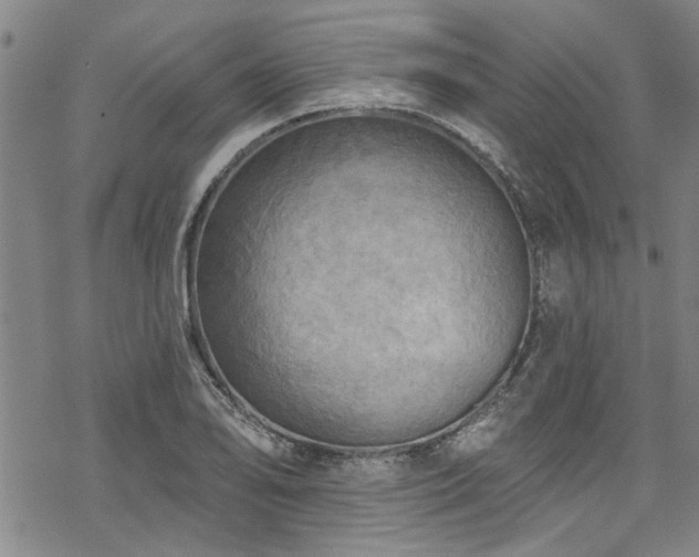 X0000068841078200605051256