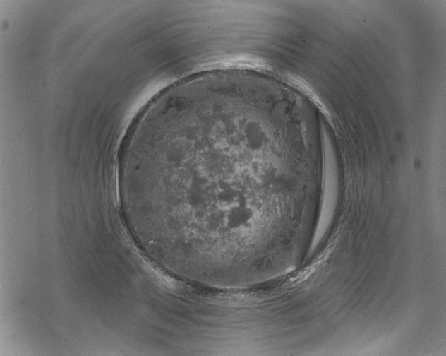 X0000068841079200605051256