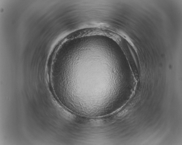 X0000068841080200605051256