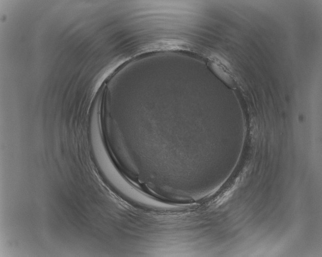 X0000068841081200605051256