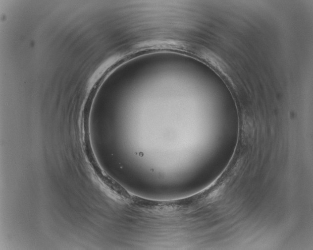 X0000068841082200605051256