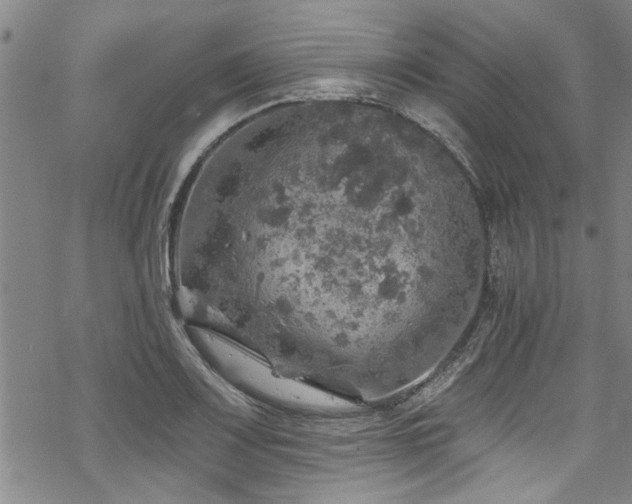 X0000068841083200605051256