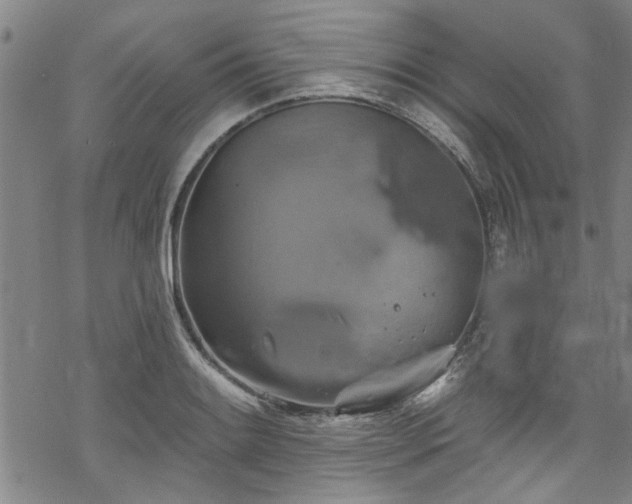 X0000068841084200605051256