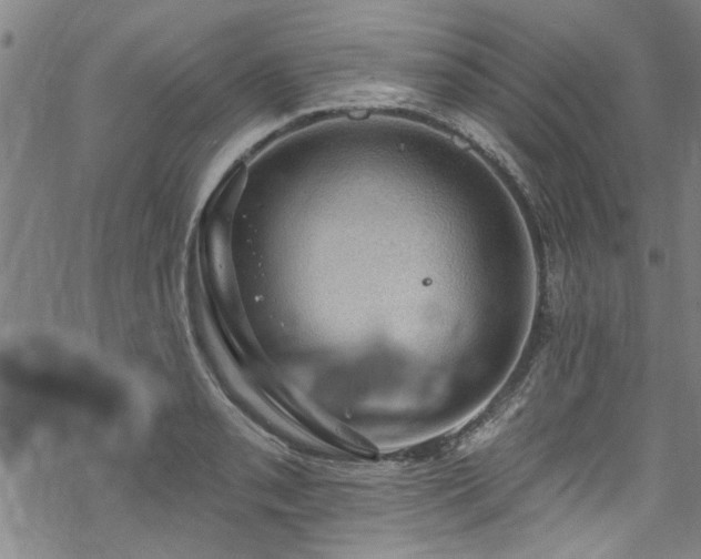 X0000068841085200605051255