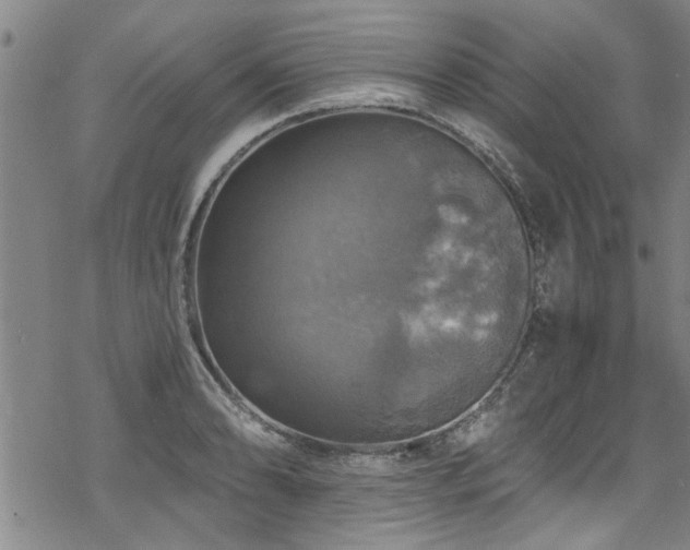 X0000068841086200605051255