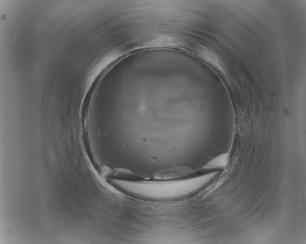 X0000068841087200605051255