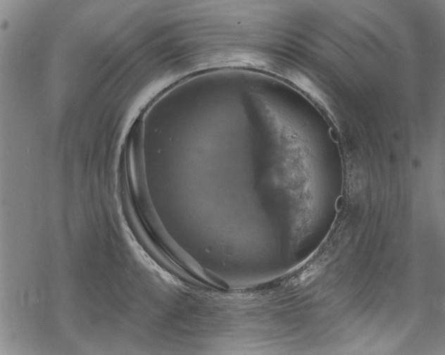 X0000068841088200605051255