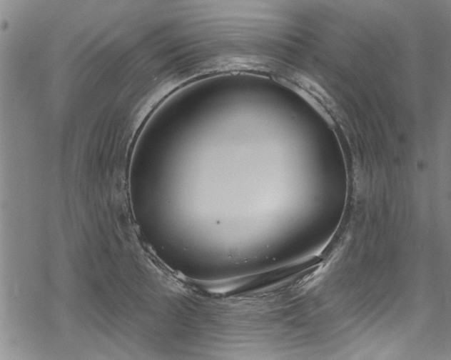 X0000068841089200605051255