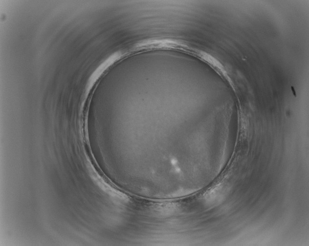 X0000068841090200605051255