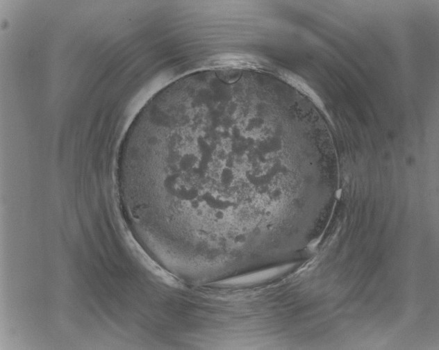 X0000068841091200605051255