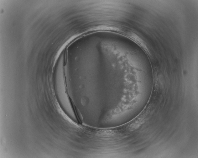 X0000068841092200605051255