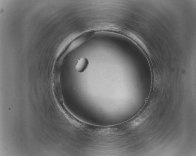 X0000068841093200605051255