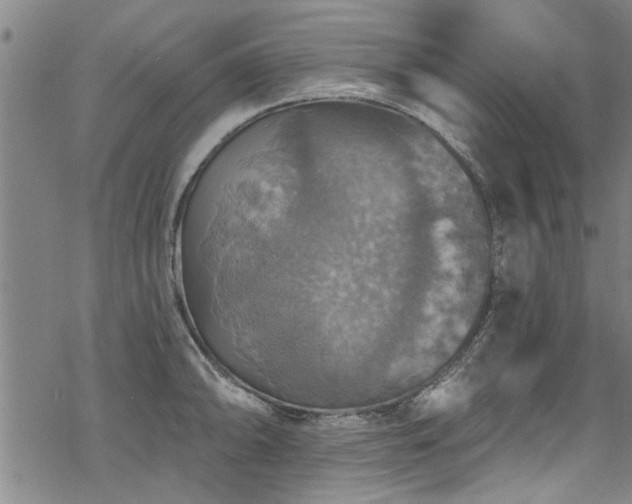 X0000068841094200605051255