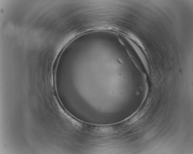 X0000068841095200605051255