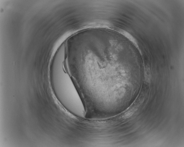 X0000068841096200605051255