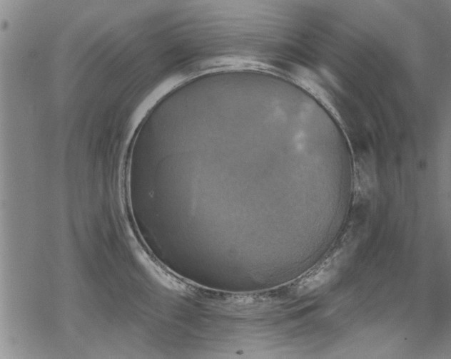 X0000068841098200605051255