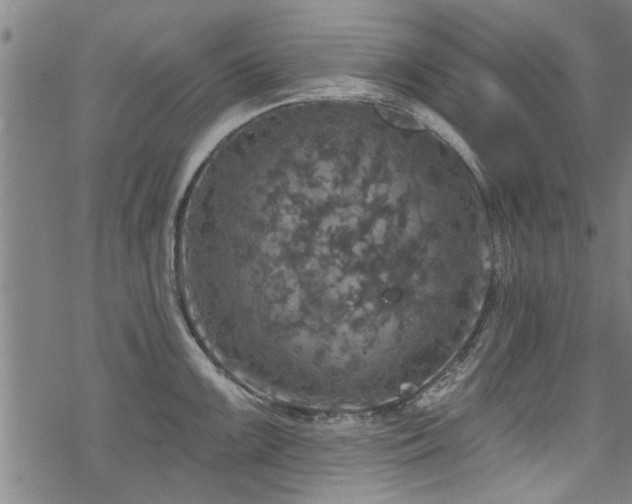 X0000068841099200605051255