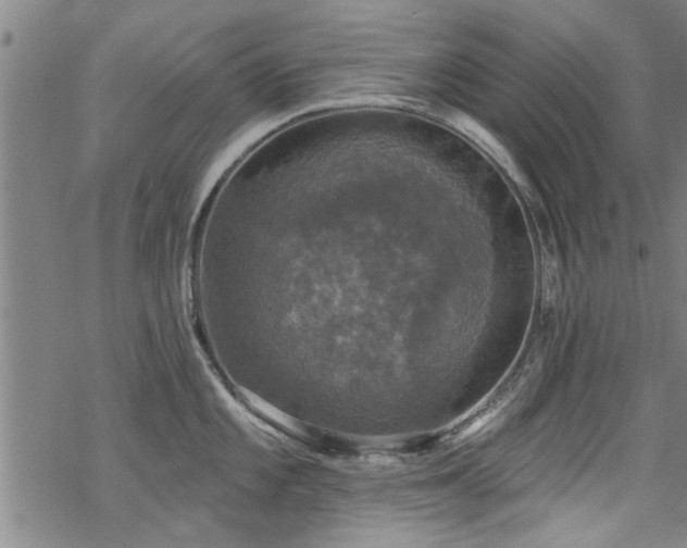 X0000068841101200605051255