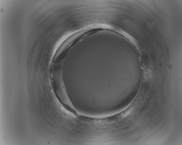 X0000068841102200605051255