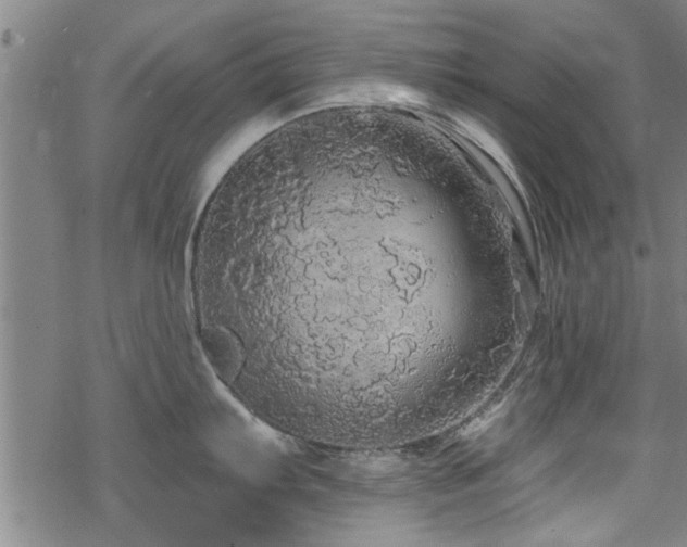 X0000068841103200605051255