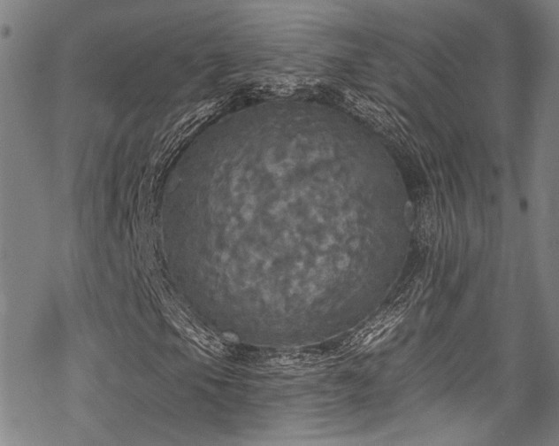 X0000068841105200605051254