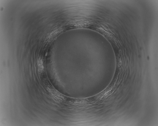 X0000068841106200605051254