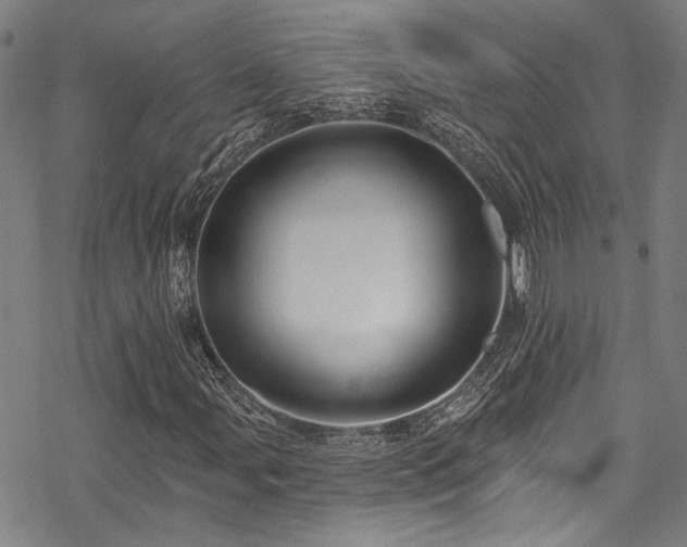 X0000068841107200605051254