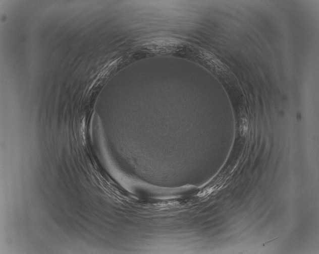 X0000068841108200605051254