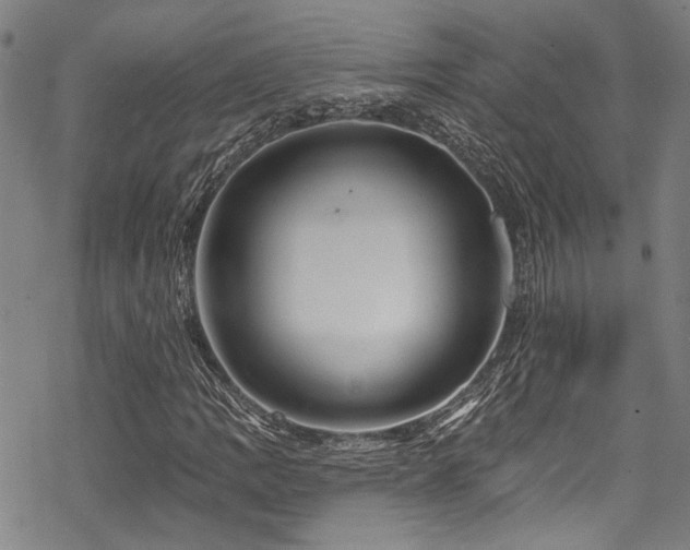 X0000068841109200605051254