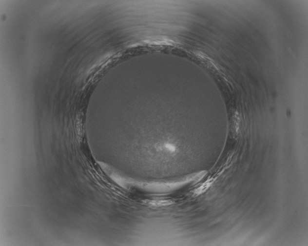 X0000068841110200605051254