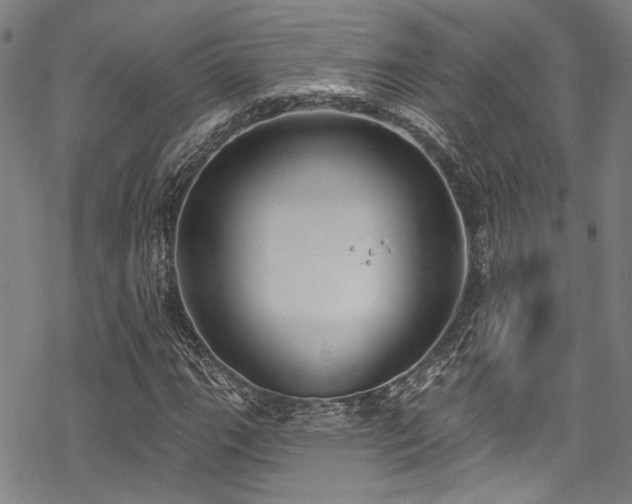 X0000068841111200605051254