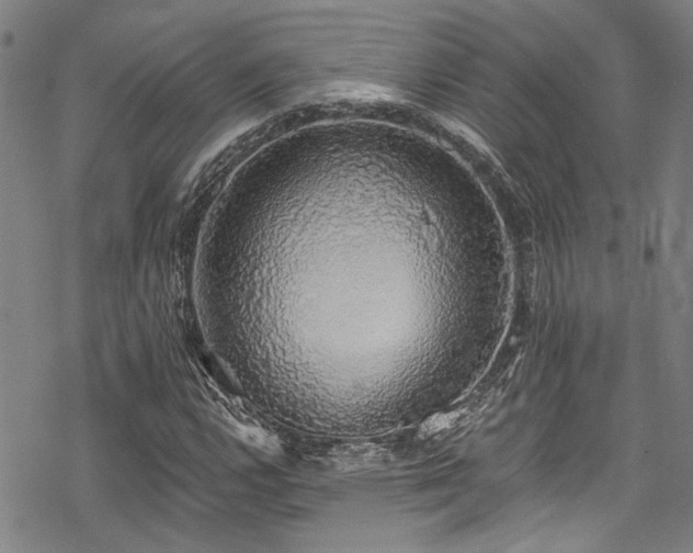 X0000068841112200605051255