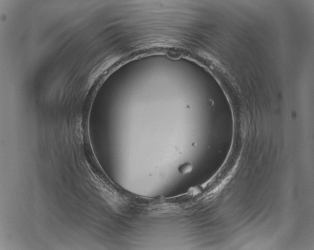 X0000068841113200605051255