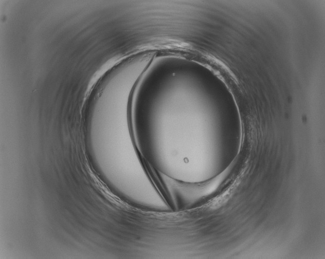 X0000068841114200605051255