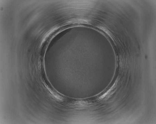 X0000068841115200605051255