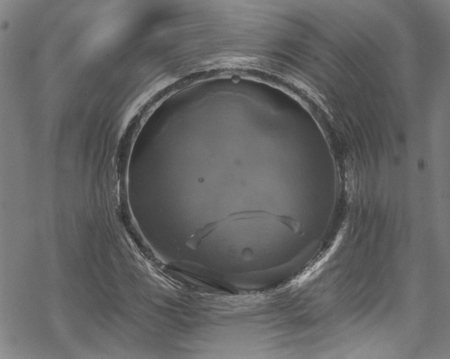 X0000068841117200605051255