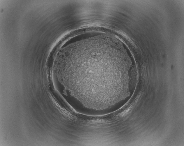 X0000068841118200605051255