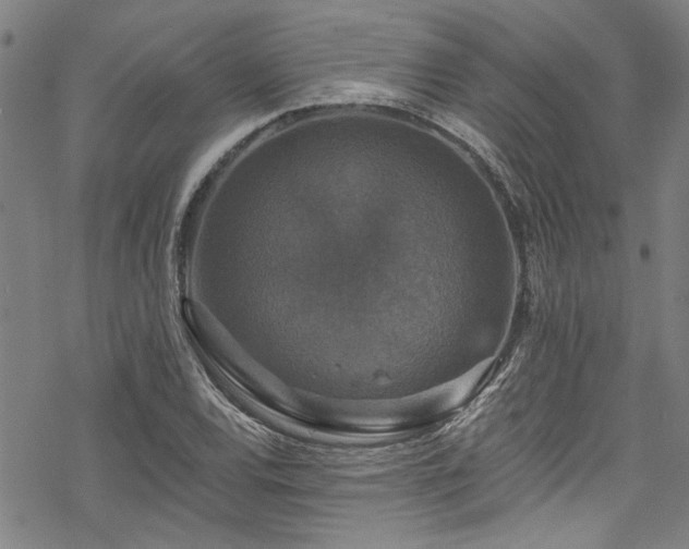 X0000068841120200605051255