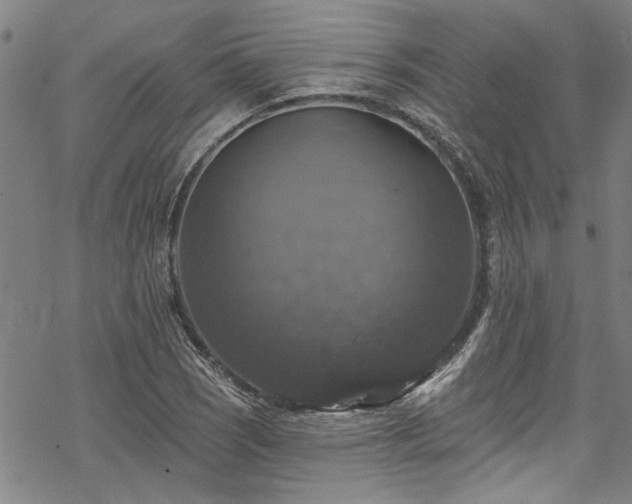 X0000068841121200605051255